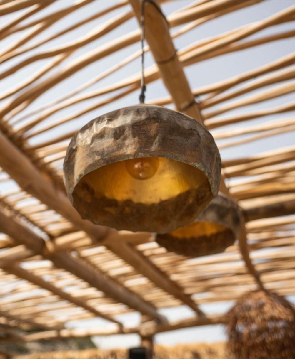 WhatsApp Image 2024-10-16 at 07.08.27