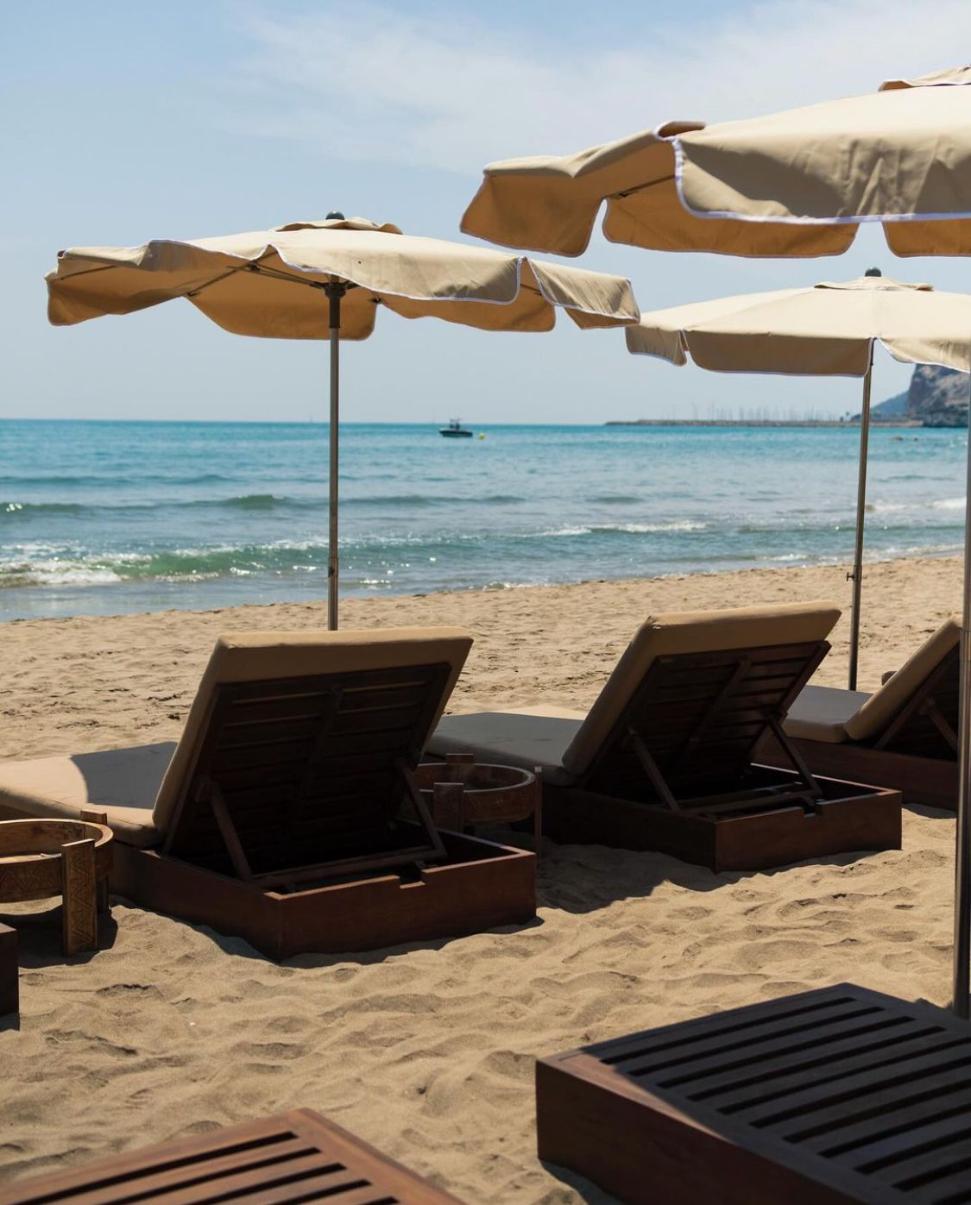 WhatsApp Image 2024-10-16 at 07.08.28 (1)